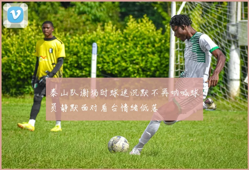 泰山队谢场时球迷沉默不再呐喊球员静默面对看台情绪低落
